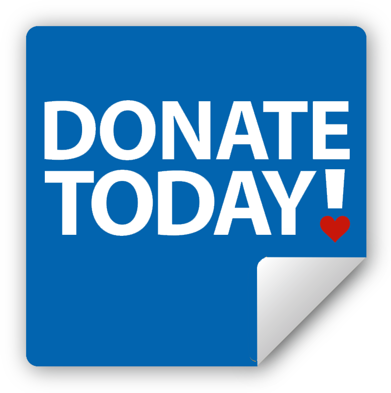 Noosa Today (776x780), Png Download