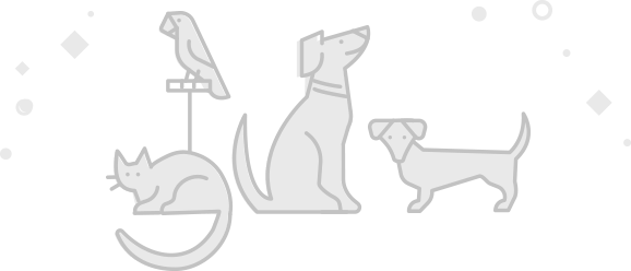 Dog Licks (578x248), Png Download