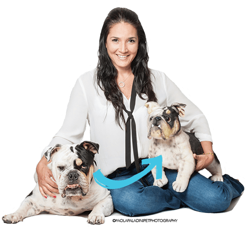 Custom Unique Gift Stuffed Animal - Stuffed Toy (500x500), Png Download