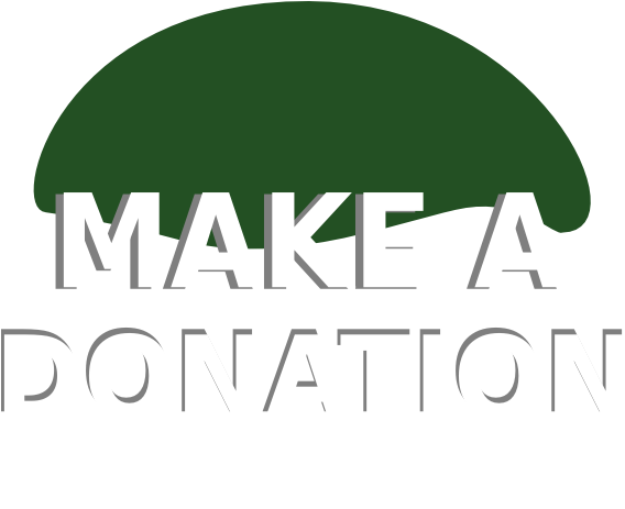 How To Set Use Donate Button Icon Png (600x462), Png Download