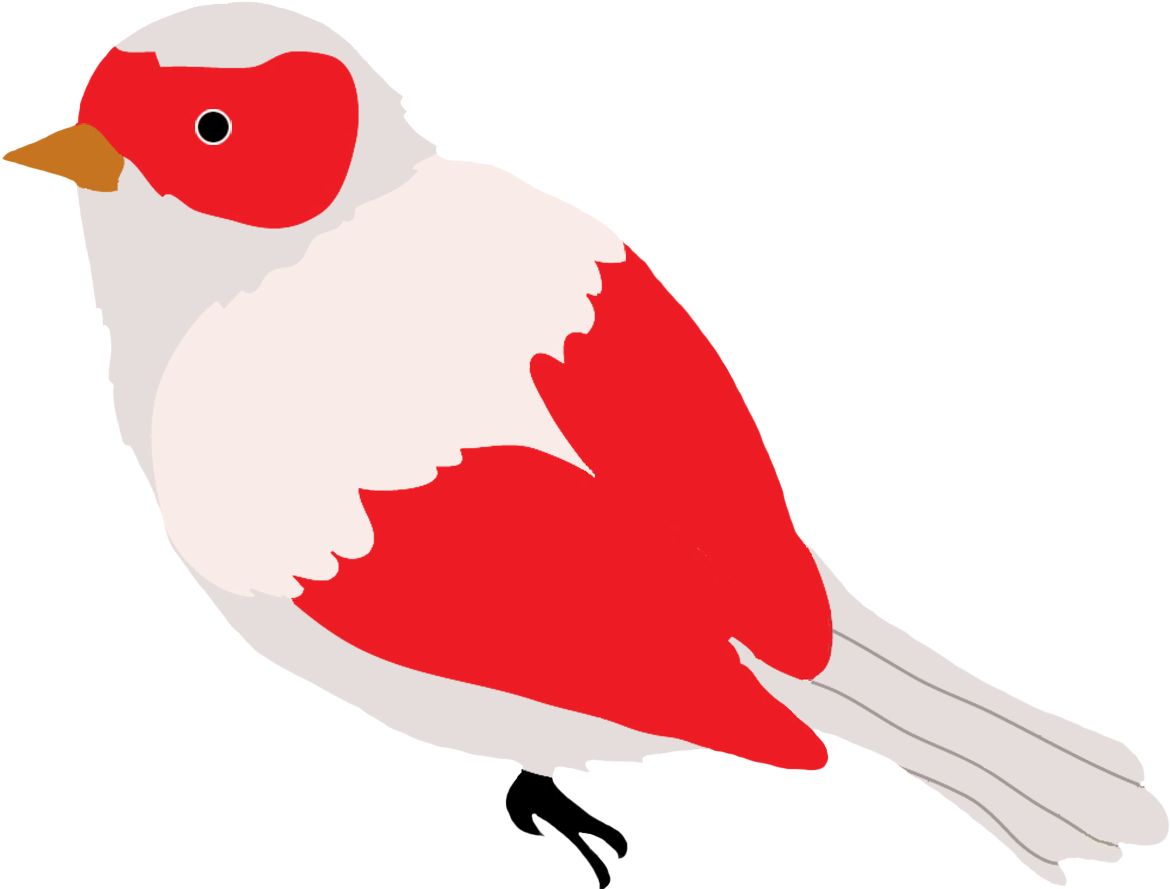Green Colored Bird Drawing, Red And Grey Colored Bird - Bird Drawing Clip Art (1181x896), Png Download