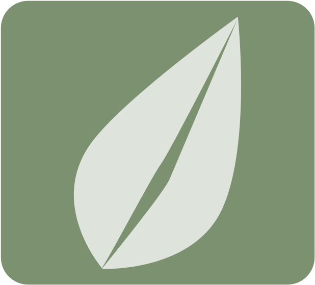 Medium Image - Icon (800x600), Png Download