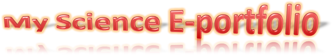 My Science E-portfolio - Electronic Portfolio (1194x260), Png Download