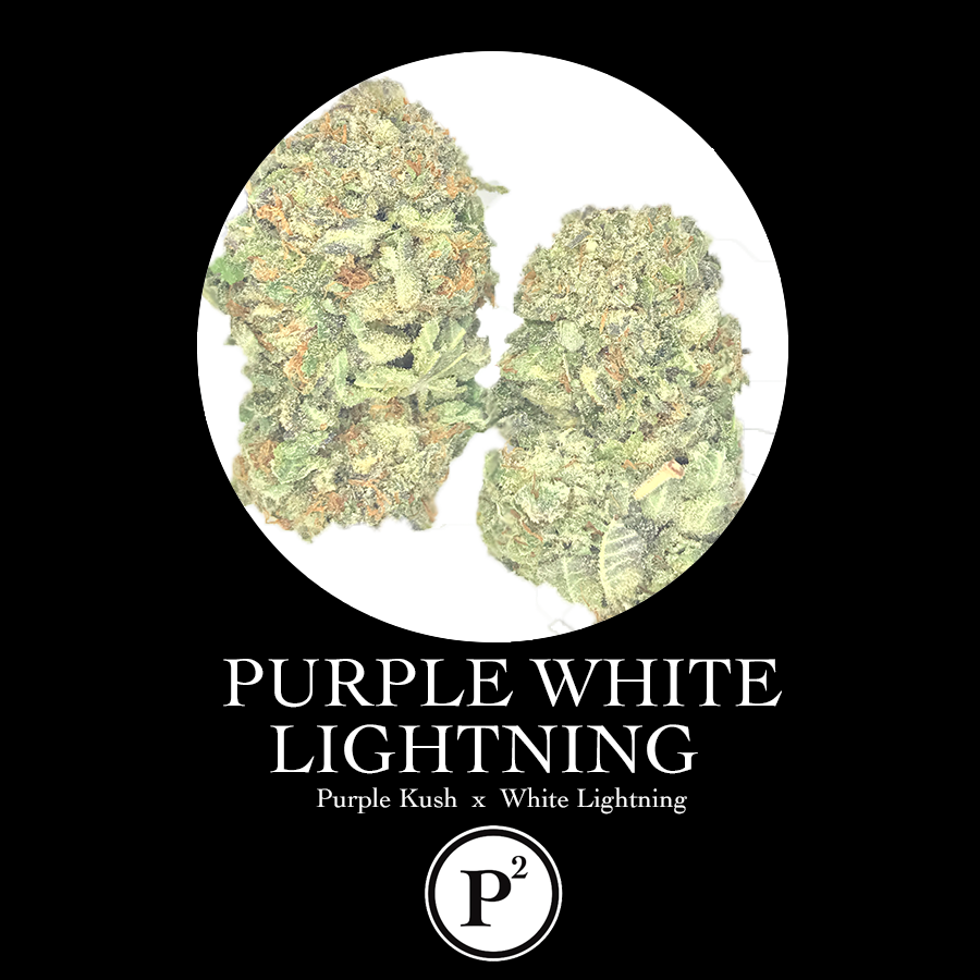 Purple White Lightning - Dreaming Lhasa (900x900), Png Download