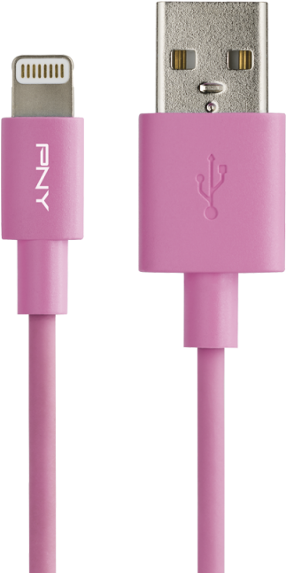 /data/products/article Large/885 20170203114626 - Pny Charge & Sync - Lightning Cable - Blue - 1.2 (800x800), Png Download