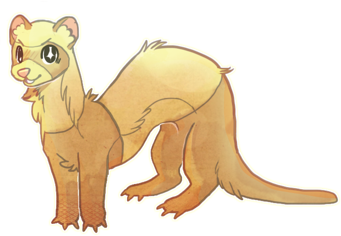Ferret Cutie By Meritferret-d9wunag - Ferret (674x467), Png Download
