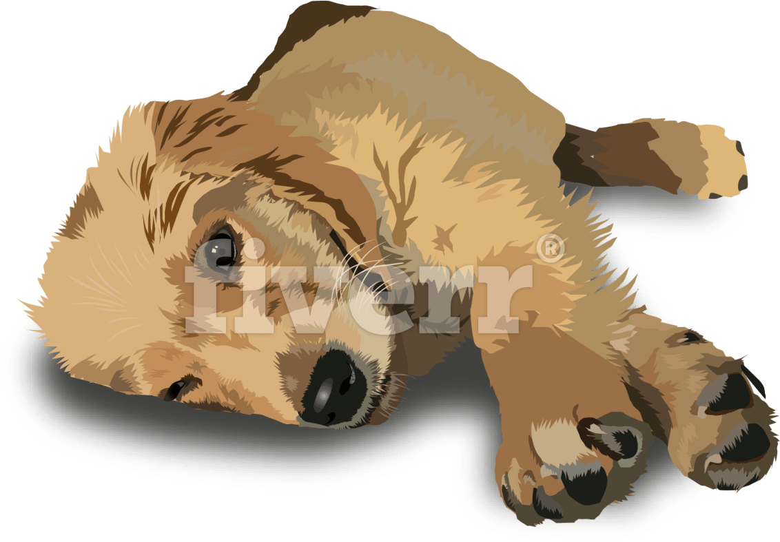 California Sea Lion (1200x840), Png Download