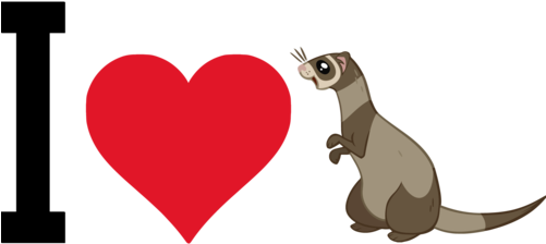 Ferret (500x500), Png Download