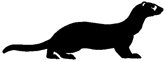 Ferret Png Image Background - Ferret Silhouette (594x408), Png Download