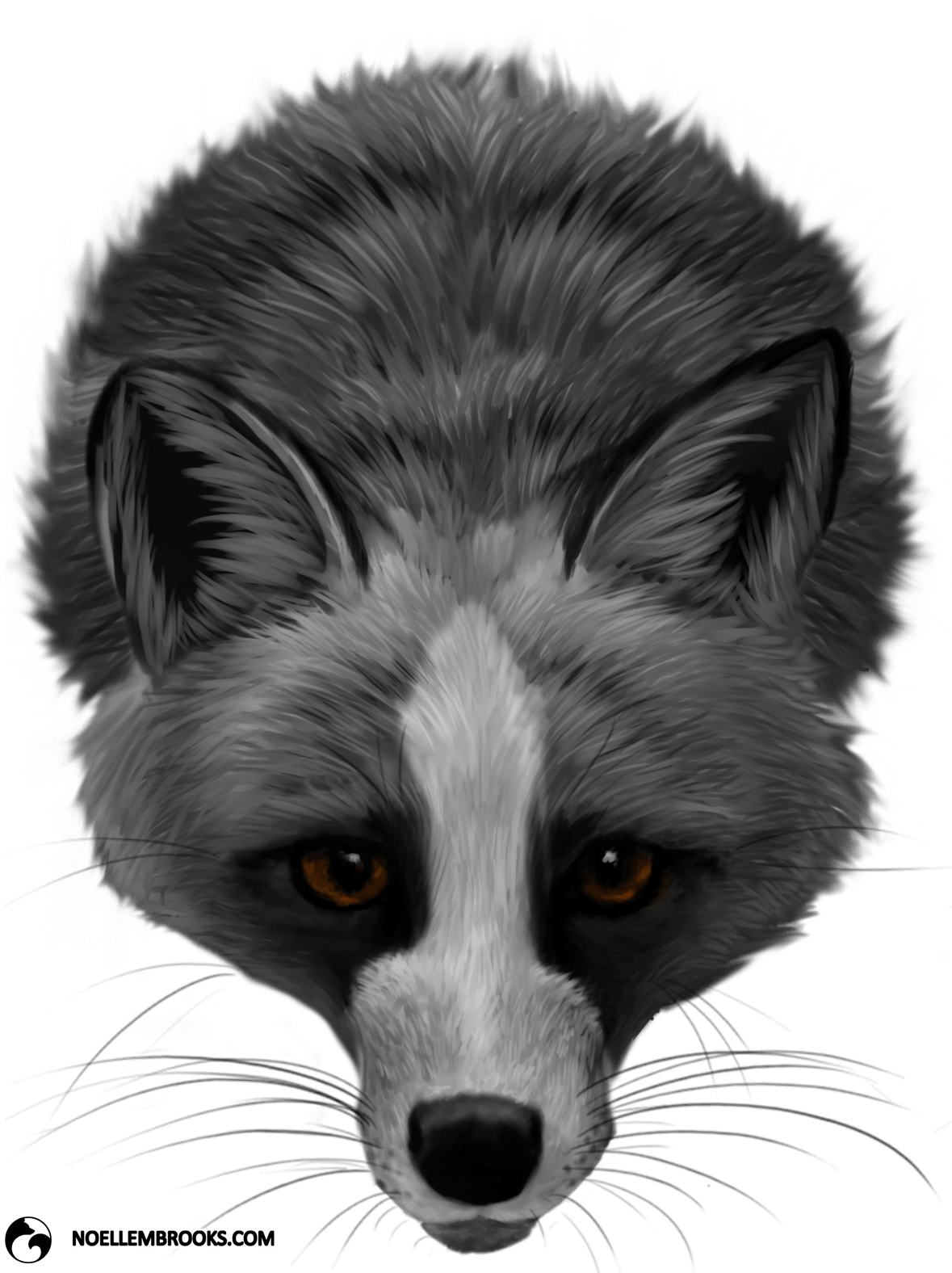 Foxes As Pets - Red Fox (1208x1575), Png Download