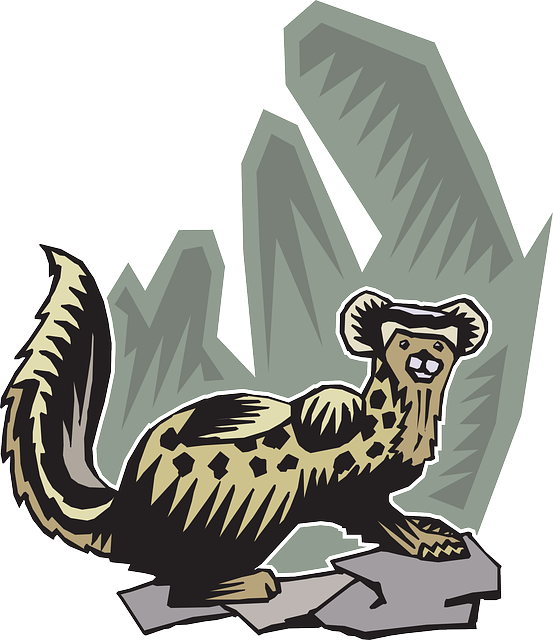 Stylized, Rocks, Background, Art, Animal, Tail, Ferret - Stylized Animal Array (553x640), Png Download
