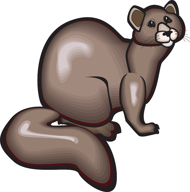 Whiskers Digital, Shapes, Style, Art, Animal, Tail, - Соболь Пнг (633x640), Png Download