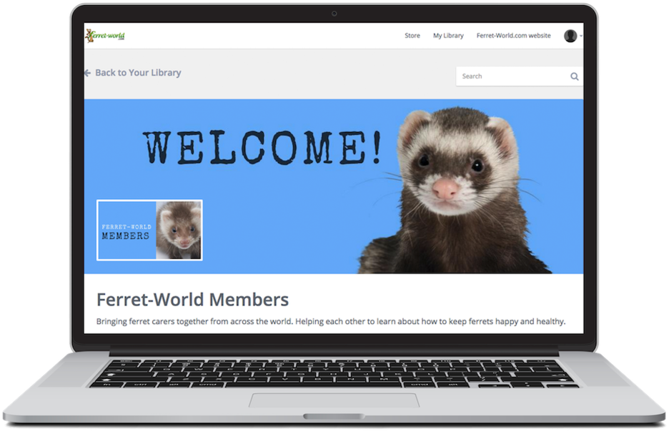 Access To A Growing Database Of The Latest Research - Simple (1000x673), Png Download