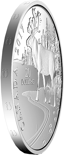 Pure Silver Coin Paw Prints On The Edge - Canadian Coin Edge (570x570), Png Download
