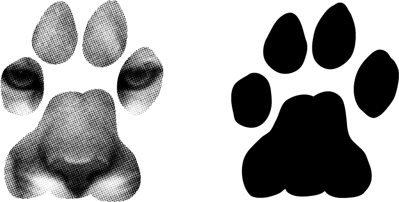 Mt Lion Track - Black And White Lion Paw Clip Art (938x481), Png Download