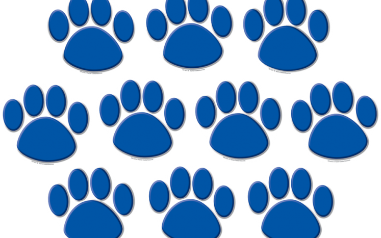 Teacher Created Resources 4277 Black Paw Prints Accents (747x467), Png Download