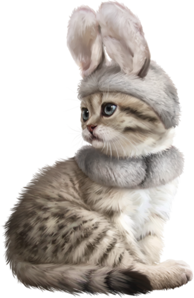 Share This Image - Cat (392x600), Png Download