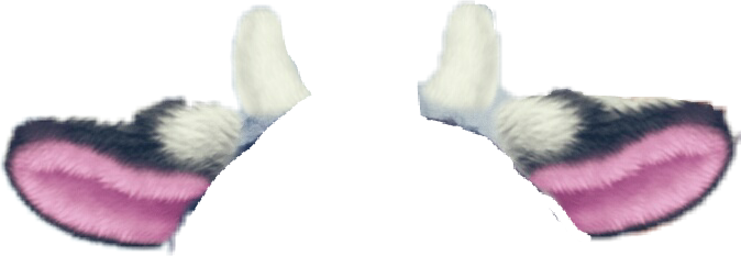 Report Abuse - Ferret (674x233), Png Download