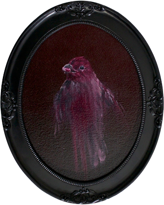 House Finch (340x424), Png Download