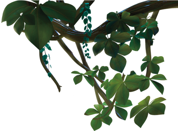 Jungle Vines Png Image Download - Leaf (617x448), Png Download