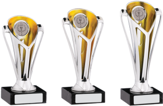 Special Offer Trophies Silver/gold - Trophy (464x348), Png Download