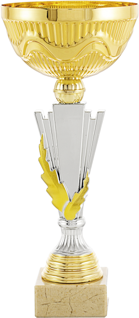 Trofeo Cono Bicolor Dorado (457x652), Png Download