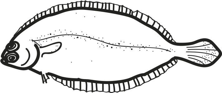 Witch Flounder - Birthday (796x500), Png Download