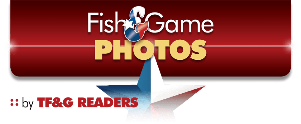 Graphic Design (1024x396), Png Download
