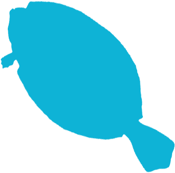 25 - Flounders - Flounder (459x373), Png Download