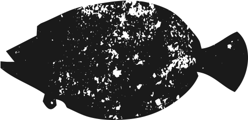 Floundericon - Greeting Card (700x400), Png Download