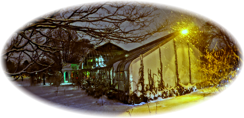 Highland Park (850x412), Png Download