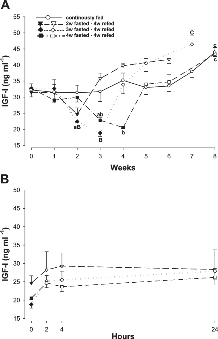Plasma Igf I Levels In The Fine Flounder During Fasting - Fine Flounder (730x1131), Png Download