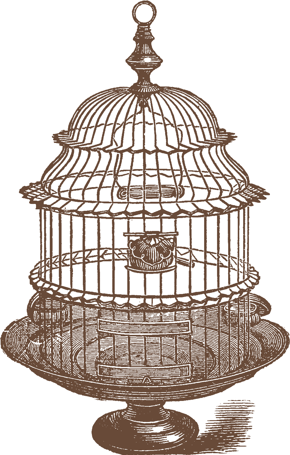 Jpeg - Birdcage (973x1528), Png Download