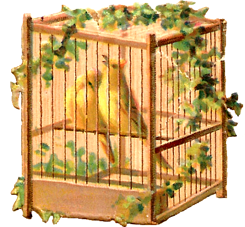 Free Bird Clip Art - Cage (609x607), Png Download