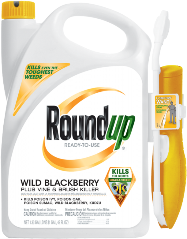 Roundup Ready To Use Wild Blackberry Plus Vine And - Roundup Poison Ivy (630x800), Png Download