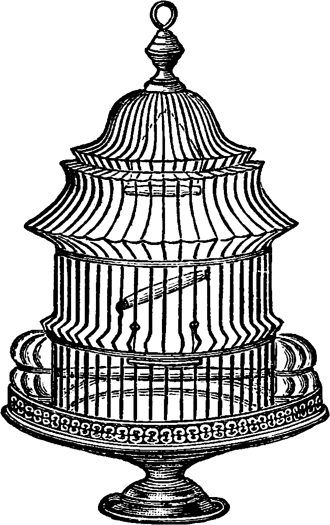 Birdcage Clipart Transparent - Vintage Bird Cage Drawing (787x1114), Png Download