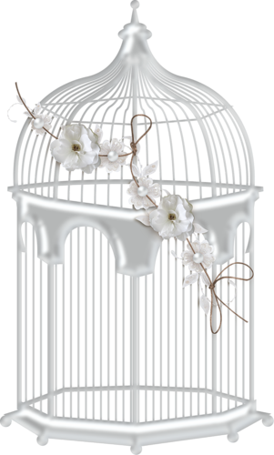 Bird Cages - Bird Cage Transparent White (301x500), Png Download
