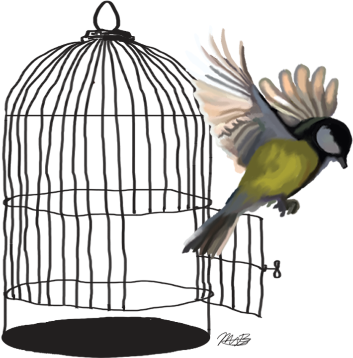 Caged Transparent Background Mart - Bird Flying Out Of Cage Png (1008x792), Png Download