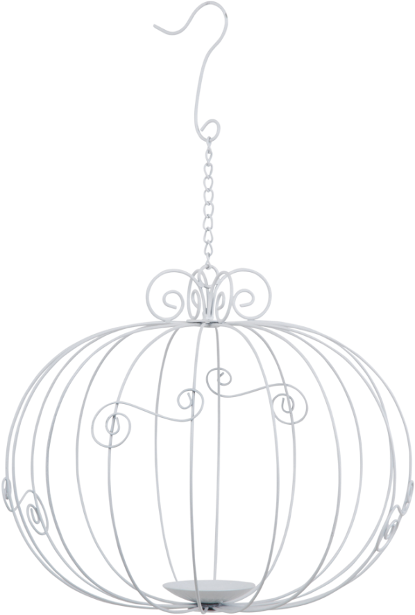 Decorative Pumpkin Bird Cage - Pumpkin (1000x1000), Png Download