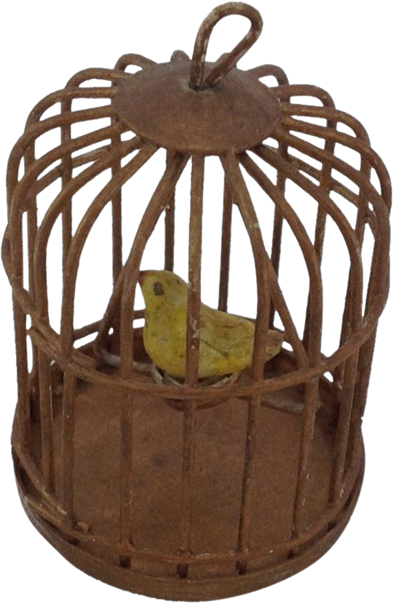 Clipart Transparent Cage Transparent Old - Canary In An Old Cage (876x876), Png Download