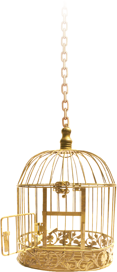 Open Duet - Bird Cage Gold Png (473x1200), Png Download
