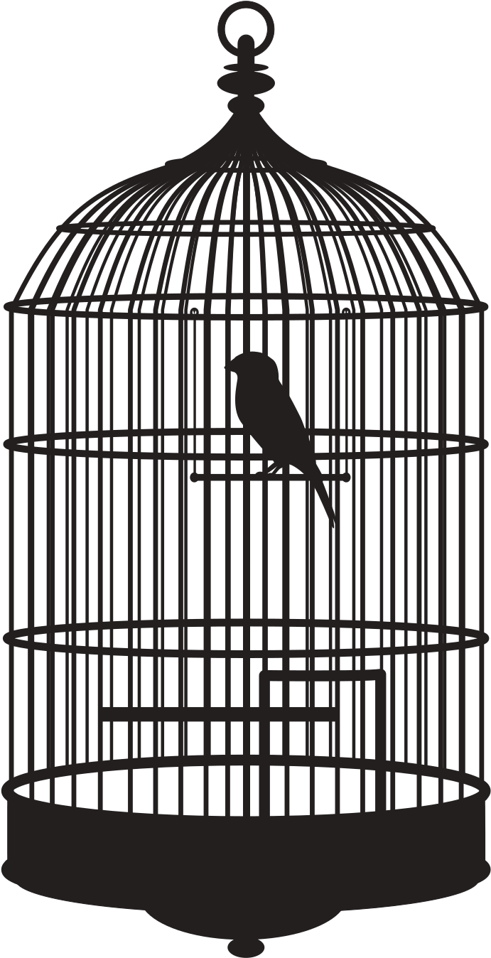 Birdcage Transprent Free Download - Bird In Cage Gif (1436x1512), Png Download