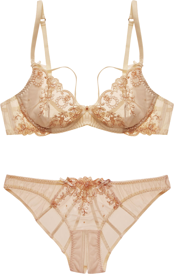 “l'agent By Agent Provocateur “lusina” Bra And Panties - L'agent Lusina Ouvert, Size Small - Ivory (712x1120), Png Download