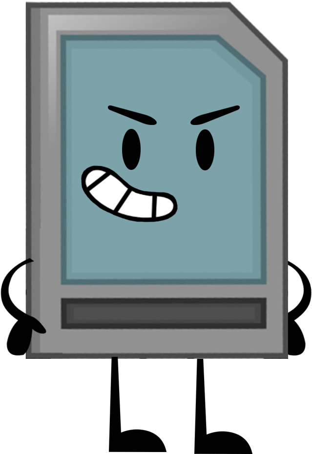 Sd Card Pose - Object Shows Sd Card (688x936), Png Download