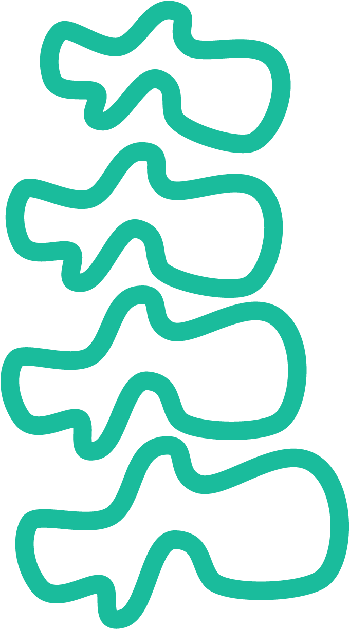 Rocky Mountain Brain Spine Surgery Icon - Vertebral Column (1250x1250), Png Download