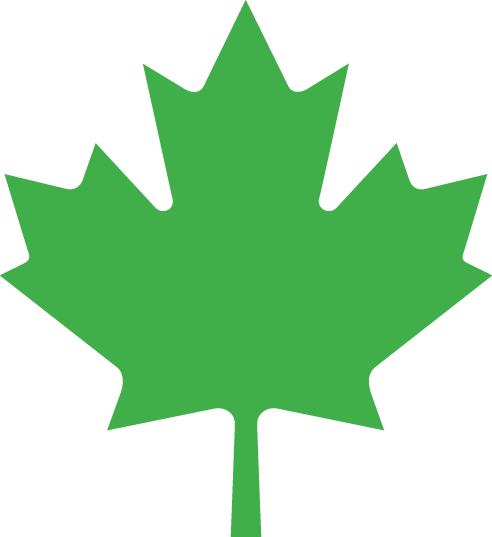 Canada Clipart Leaves - Canadian Maple Leaf Green (492x537), Png Download