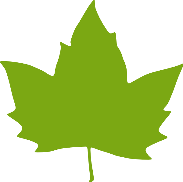 Leaf Leaves Clip Art Free Vector Image - Green Fall Leaf Clipart (600x598), Png Download