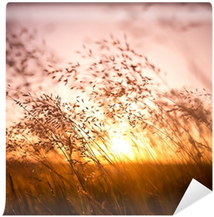 Me & My House... A Prayer And Discipleship Journal (400x400), Png Download