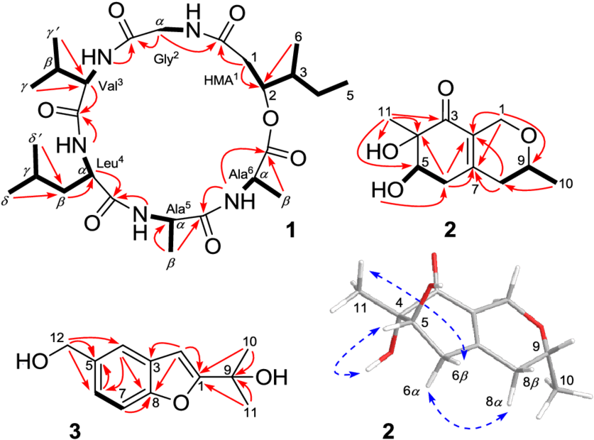 Key 1 H-1 H Cosy , Hmbc (red Arrows - Diagram (850x638), Png Download