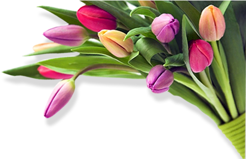 Birthday Flower Images Png (537x325), Png Download